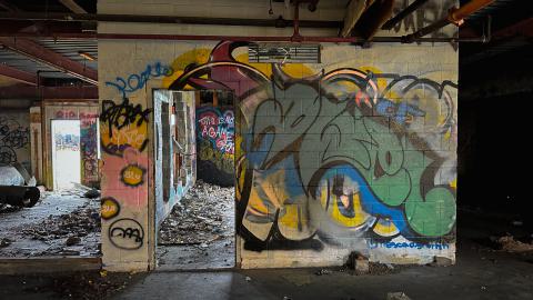 Sawmill Dream Cut Short - IMG_5264.jpeg