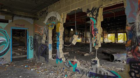 Sawmill Dream Cut Short - IMG_5265.jpeg