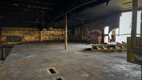 Sawmill Dream Cut Short - IMG_5272.jpeg