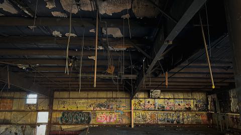 Sawmill Dream Cut Short - IMG_5276.jpeg