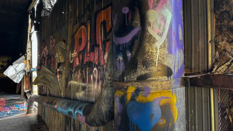 Sawmill Dream Cut Short - IMG_5273.jpeg