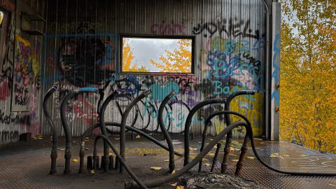 Sawmill Dream Cut Short - IMG_5275.jpeg