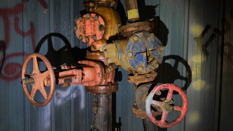 Sawmill Dream Cut Short - IMG_5278.jpeg