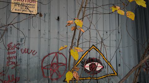 Sawmill Dream Cut Short - IMG_5279.jpeg