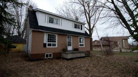 horsin around - Next-door-to-Greenbelt-House16.jpg