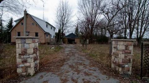 horsin around - Next-door-to-Greenbelt-House1.jpg