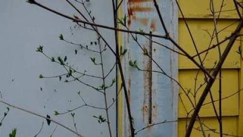 horsin around - Next-door-to-Greenbelt-House17.jpg