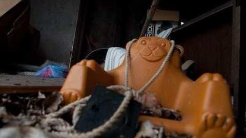 horsin around - Next-door-to-Greenbelt-House2.jpg