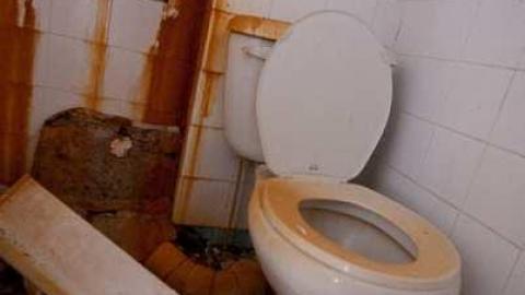 horsin around - Next-door-to-Greenbelt-House20.jpg