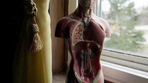 horsin around - Next-door-to-Greenbelt-House22.jpg