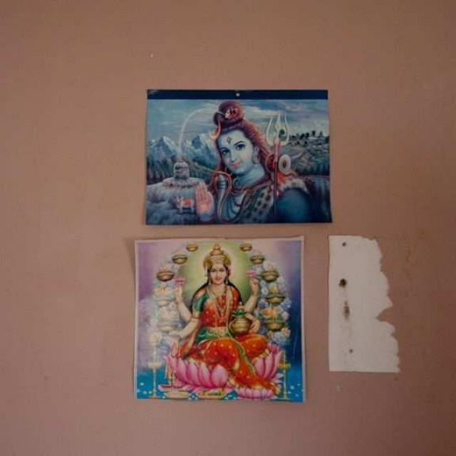 Next door to Greenbelt House photo 2