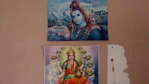 horsin around - Next-door-to-Greenbelt-House9.jpg