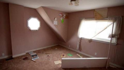 horsin around - Next-door-to-Greenbelt-House10.jpg