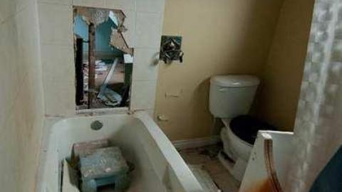 horsin around - Next-door-to-Greenbelt-House11.jpg