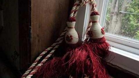 horsin around - Next-door-to-Greenbelt-House27.jpg