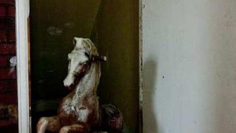 horsin around - Next-door-to-Greenbelt-House28.jpg