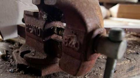 horsin around - Next-door-to-Greenbelt-House29.jpg