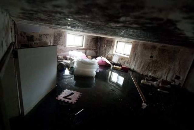 Next door to Greenbelt House photo 4