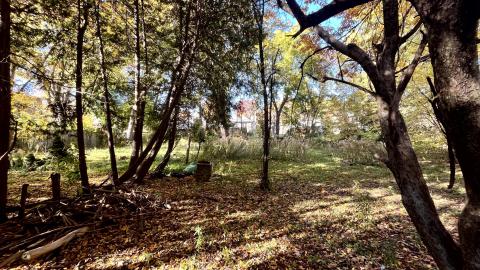 Darkest Hour - IMG_1452.jpg