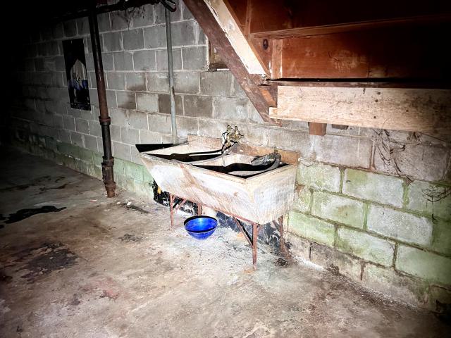 Winston on Churchill photo 3