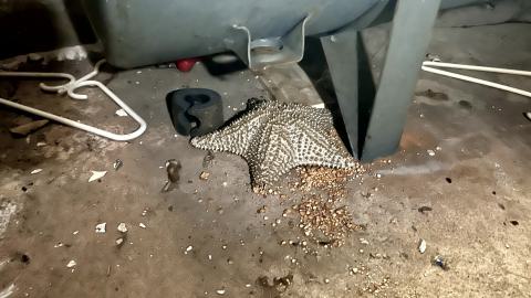 Darkest Hour - IMG_1463.jpg