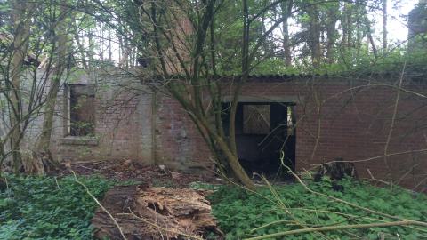 Geeste Manor - IMG_0079.JPG