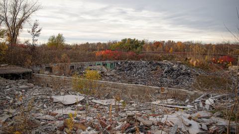 Ruins - DSC_3061.jpg