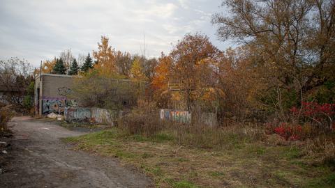 Ruins - DSC_3088.jpg