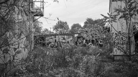 Ruins - DSC_3099.jpg