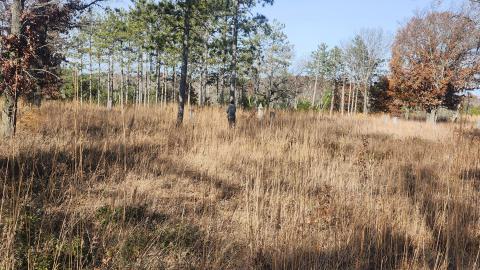 Red Cloud November 2024 - 20241103_135933.jpg