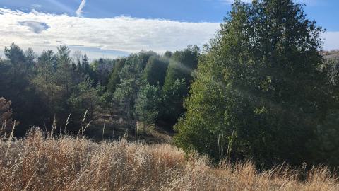 Red Cloud November 2024 - 20241103_141220.jpg