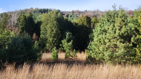 Red Cloud November 2024 - 20241103_141221.jpg