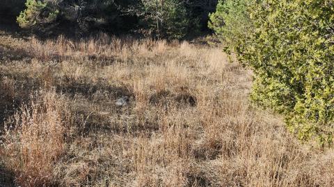 Red Cloud November 2024 - 20241103_141323.jpg