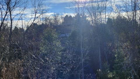 Red Cloud November 2024 - 20241103_141721.jpg