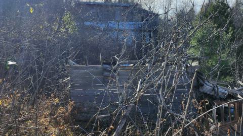 Red Cloud November 2024 - 20241103_141856.jpg