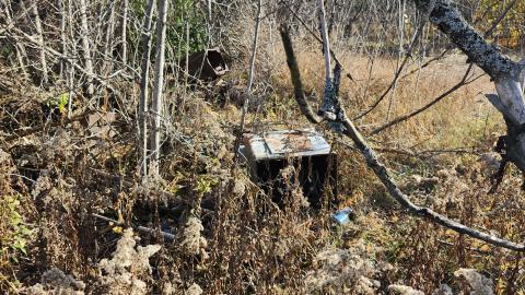 Red Cloud November 2024 - 20241103_141902.jpg