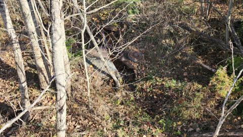 Red Cloud November 2024 - 20241103_141938.jpg