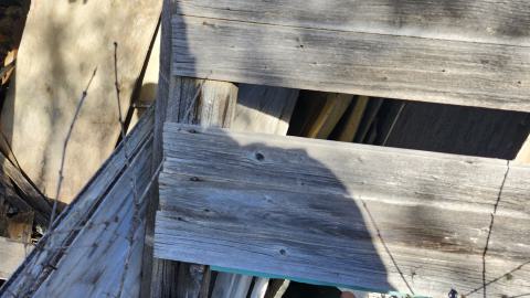 Red Cloud November 2024 - 20241103_142029.jpg