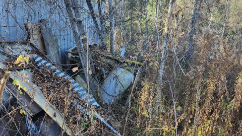 Red Cloud November 2024 - 20241103_142140.jpg