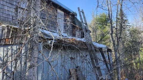 Red Cloud November 2024 - 20241103_142144(0).jpg