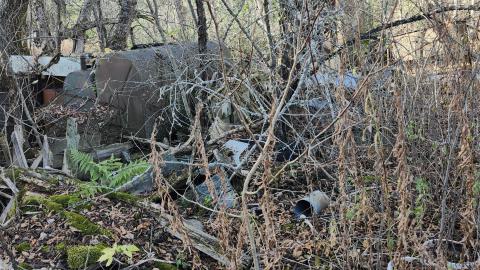 Red Cloud November 2024 - 20241103_142233.jpg