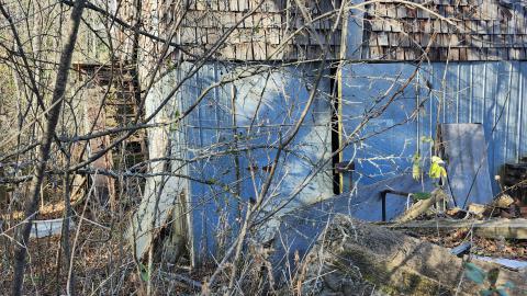 Red Cloud November 2024 - 20241103_142247.jpg