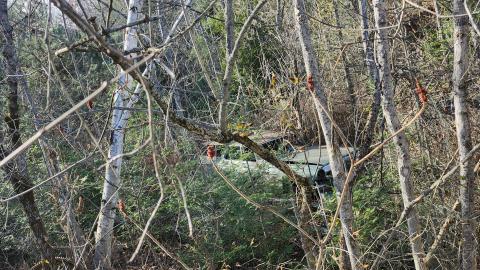 Red Cloud November 2024 - 20241103_142407.jpg