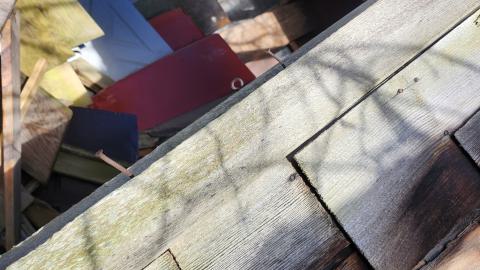 Red Cloud November 2024 - 20241103_142413.jpg