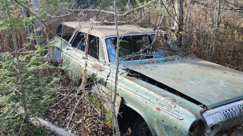 Red Cloud November 2024 - 20241103_142539.jpg