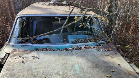 Red Cloud November 2024 - 20241103_142556.jpg