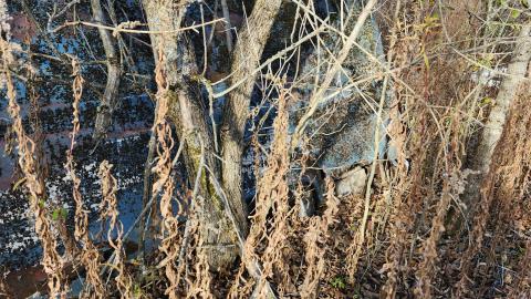 Red Cloud November 2024 - 20241103_142600.jpg