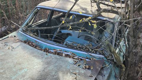 Red Cloud November 2024 - 20241103_142628.jpg