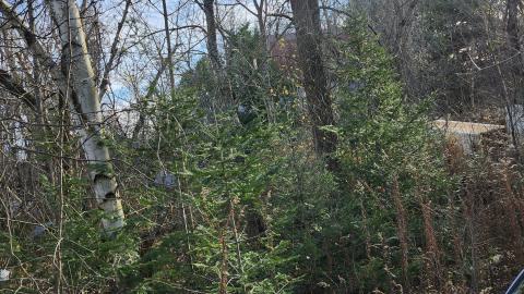 Red Cloud November 2024 - 20241103_142629.jpg