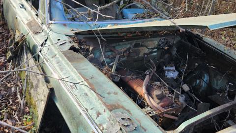 Old car with over growth